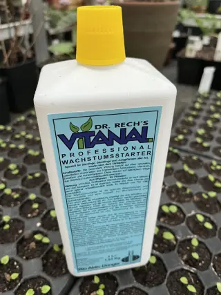 Vitanal Wachstumsstarter (Groeistarter)