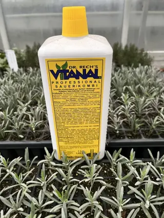 Vitanal Professional Sauer/Kombi (Sour Combi)