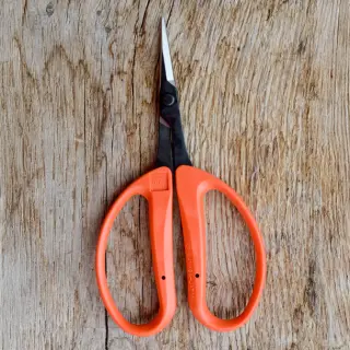 B250 Cutting and Bonsai Scissors
