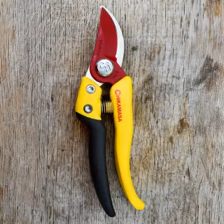 PS-7-Y pruning shears